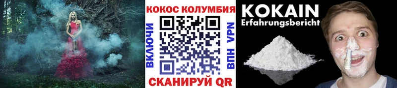 COCAIN Columbia  Старица 