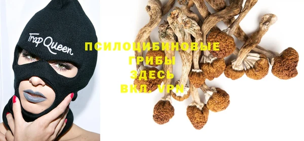 мяу мяу кристалл Арсеньев