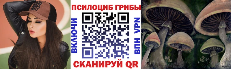 darknet Telegram  Старица  Галлюциногенные грибы мицелий 